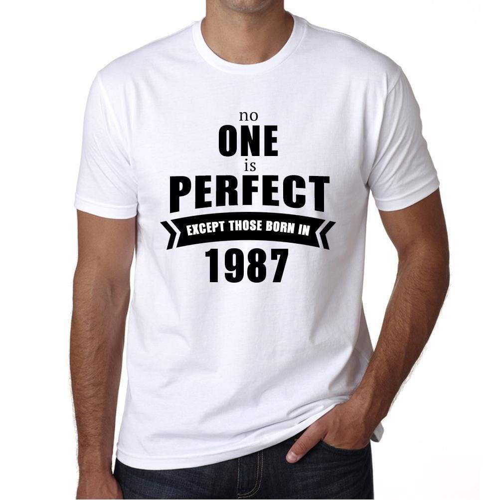 1987, No One Is Perfect, white, Men's Short Sleeve Round Neck T-shirt 00093 - ultrabasic-com