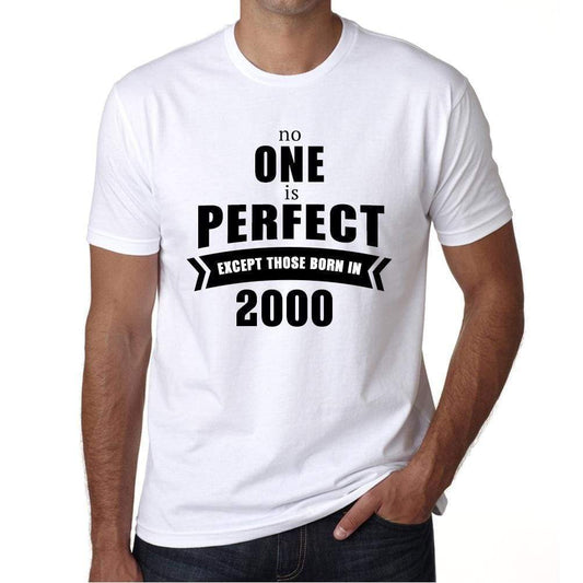 2000 No One Is Perfect White Mens Short Sleeve Round Neck T-Shirt 00093 - White / S - Casual