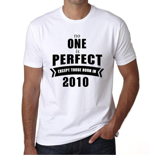 2010 No One Is Perfect White Mens Short Sleeve Round Neck T-Shirt 00093 - White / S - Casual
