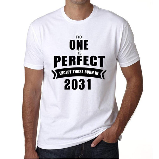 2031 No One Is Perfect White Mens Short Sleeve Round Neck T-Shirt 00093 - White / S - Casual