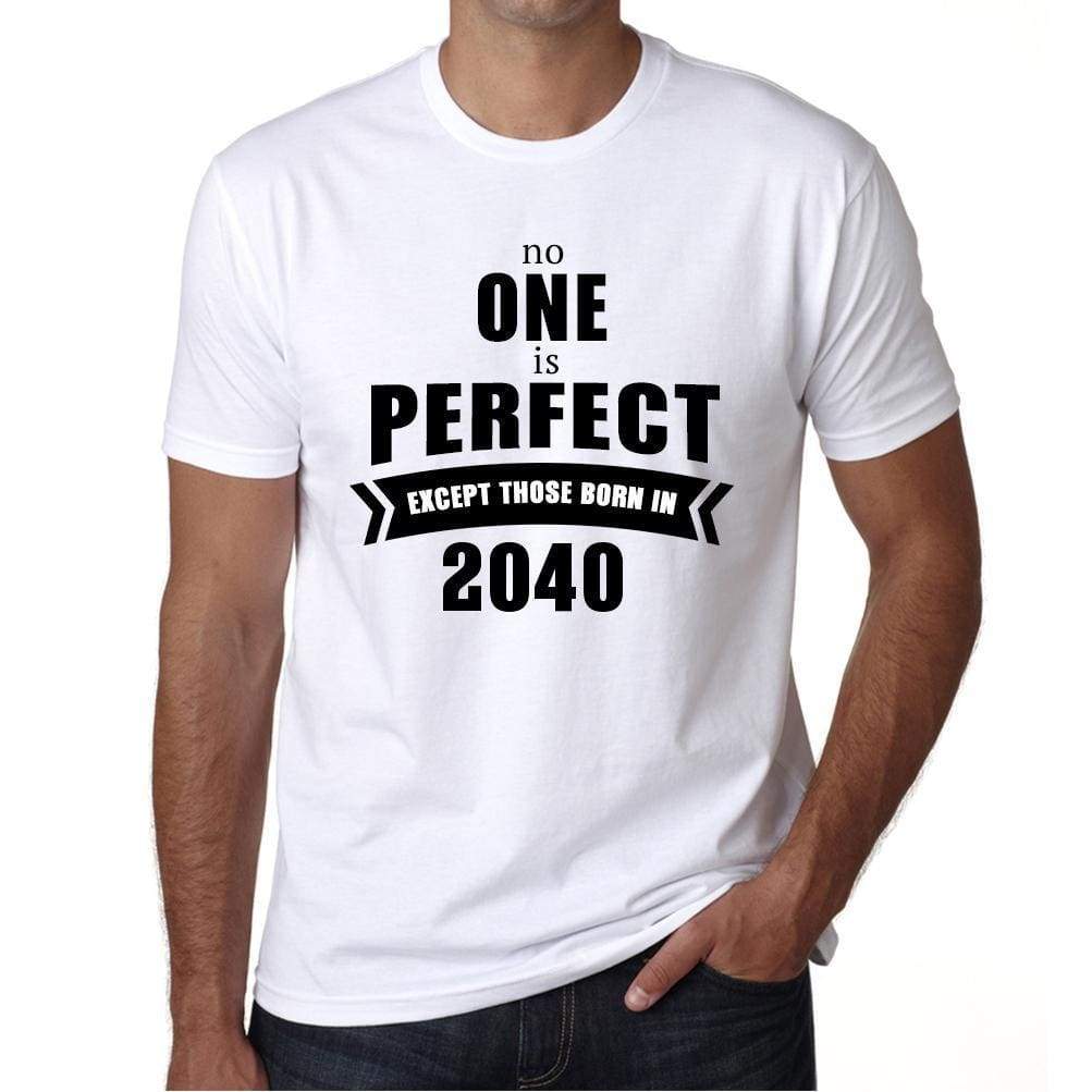 2040 No One Is Perfect White Mens Short Sleeve Round Neck T-Shirt 00093 - White / S - Casual