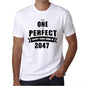 2047 No One Is Perfect White Mens Short Sleeve Round Neck T-Shirt 00093 - White / S - Casual