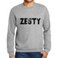 Mens Printed Graphic Sweatshirt Popular Words Zesty Grey Marl - Grey Marl / Small / Cotton - Sweatshirts
