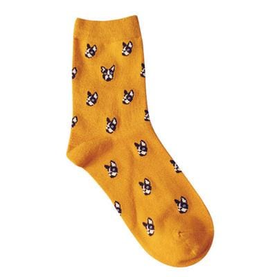 Taille adulte belle quotidienne Animal Weel chaussettes pastèque teckel Beagle Lion ferme Bull Terrier éléphant renard pilule Fruit chien Combo