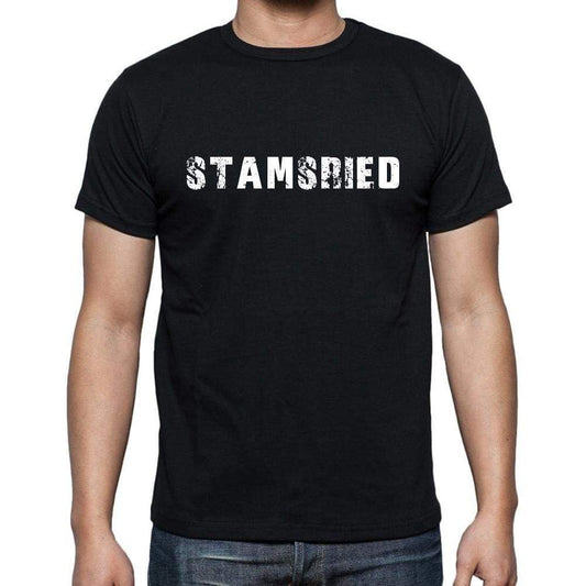 Stamsried Mens Short Sleeve Round Neck T-Shirt 00003 - Casual